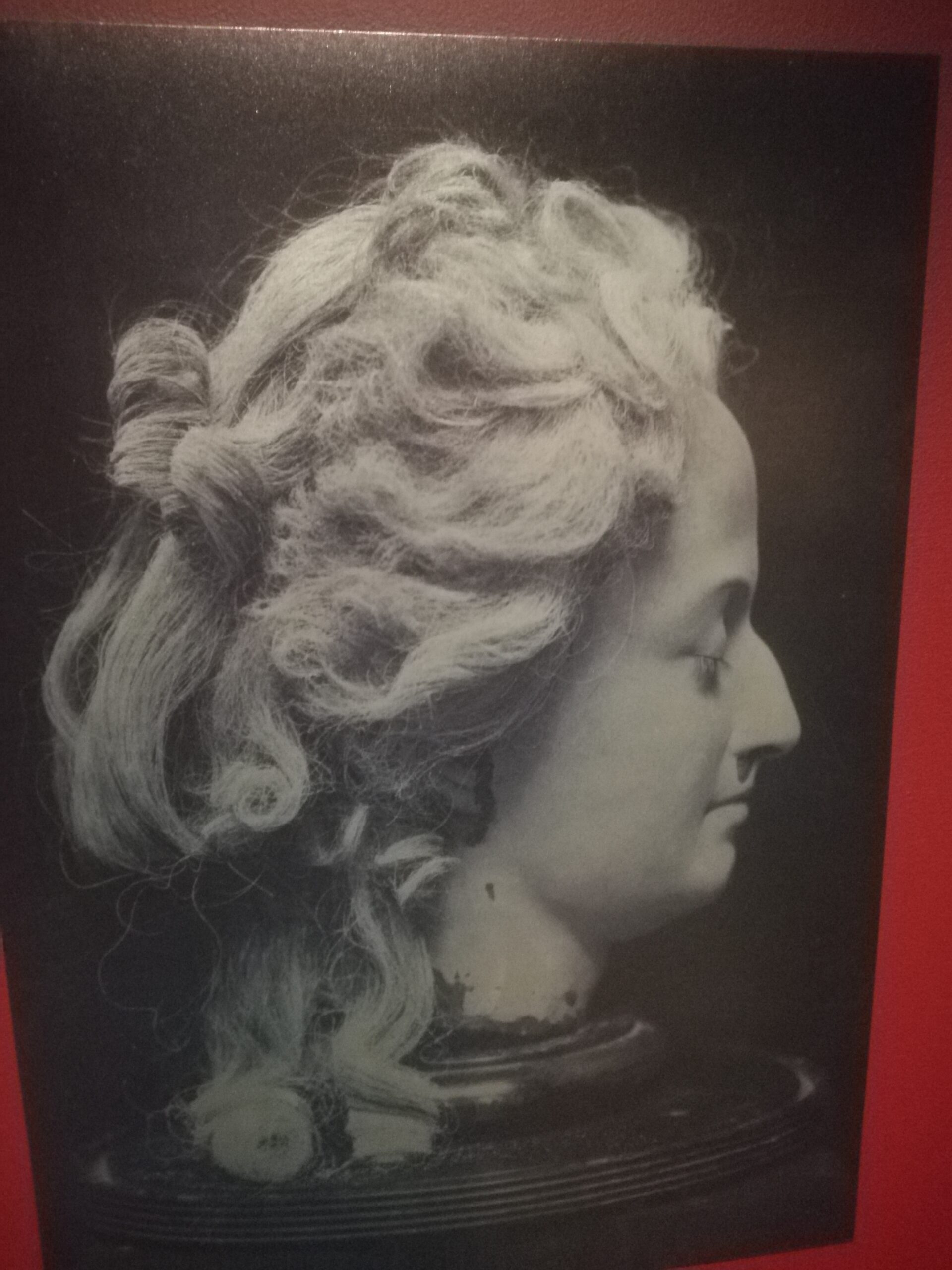Marie Antoinette's severed head